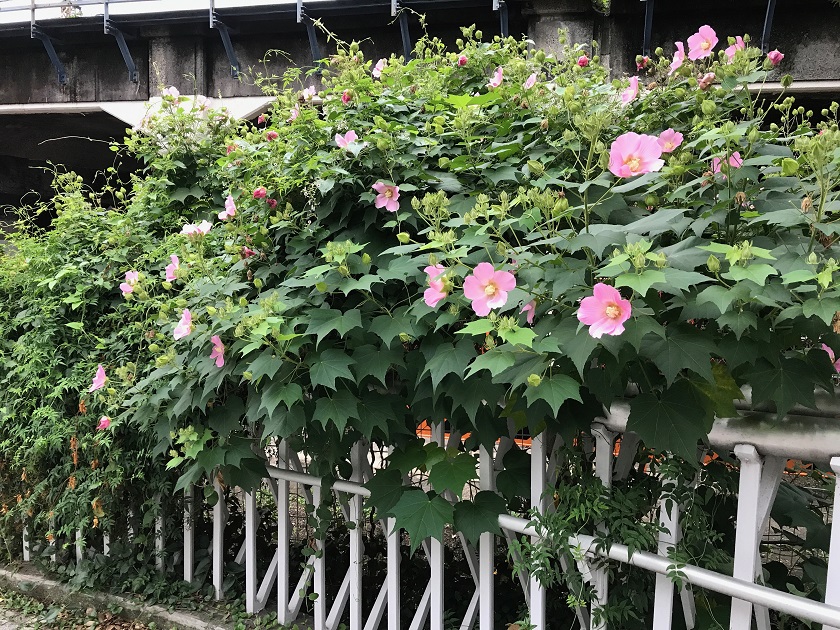 物事を考えたり共有したりするときは本質部分を大事にする
