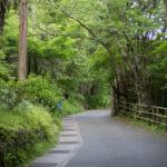 毎朝、同じ時間には起きてない。心＝身体＝自然だから