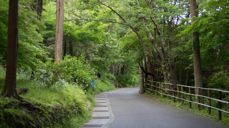 毎朝、同じ時間には起きてない。心＝身体＝自然だから