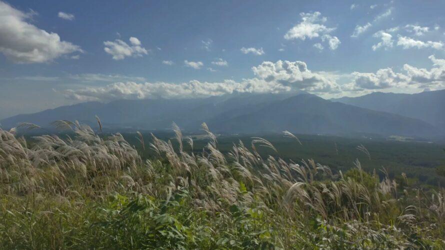 自分のVlogを見返すのが楽しい