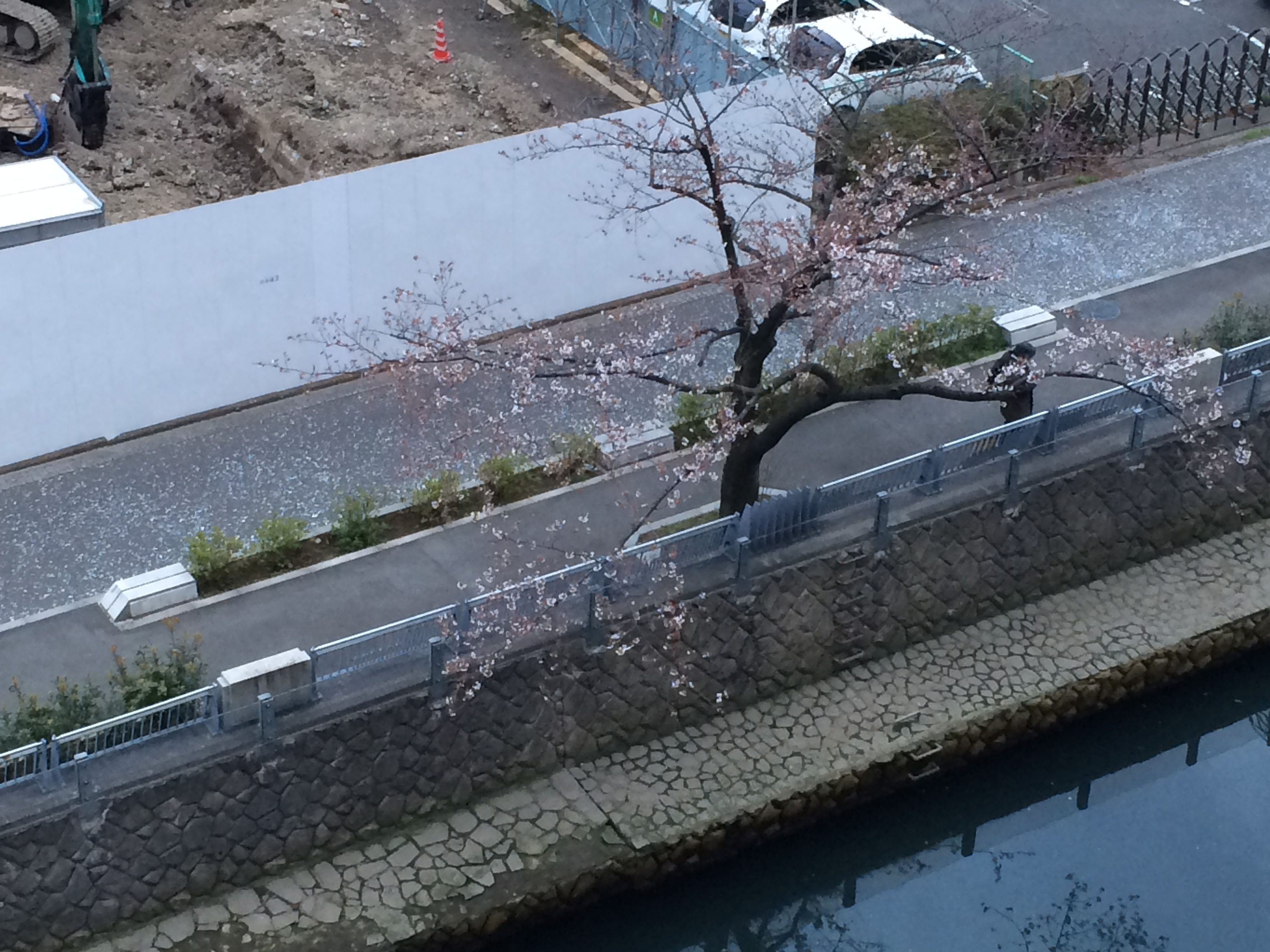 会社への忠誠心よりプロ意識を身につけよう