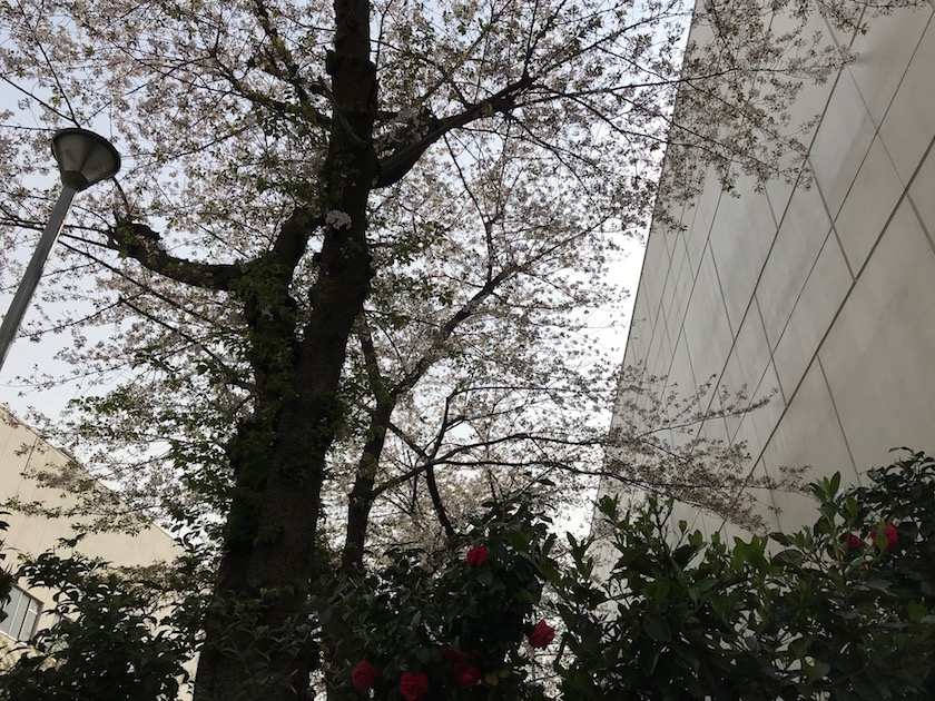 フリーランス税理士として2年目終了にあたり やってよかったこと、考え方の移り変わりなど