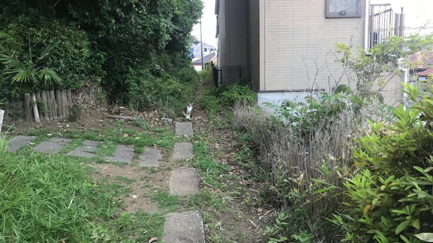 ひとり仕事は圧倒的に時間が足りない。複数の意味を持てる仕事をしよう